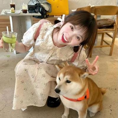 原谅的勇气