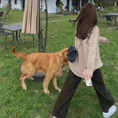 金色微笑