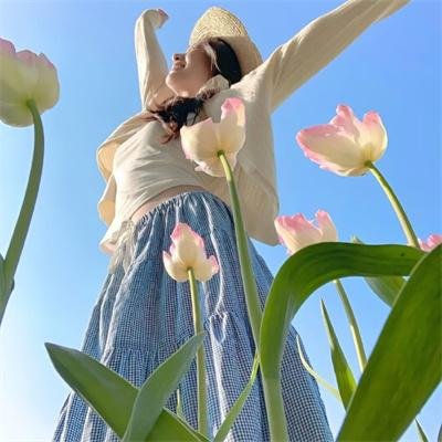 北斗之拳系列: 多奇传